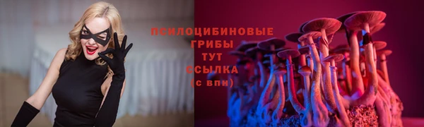 мет Инсар